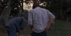 1215885056.gif